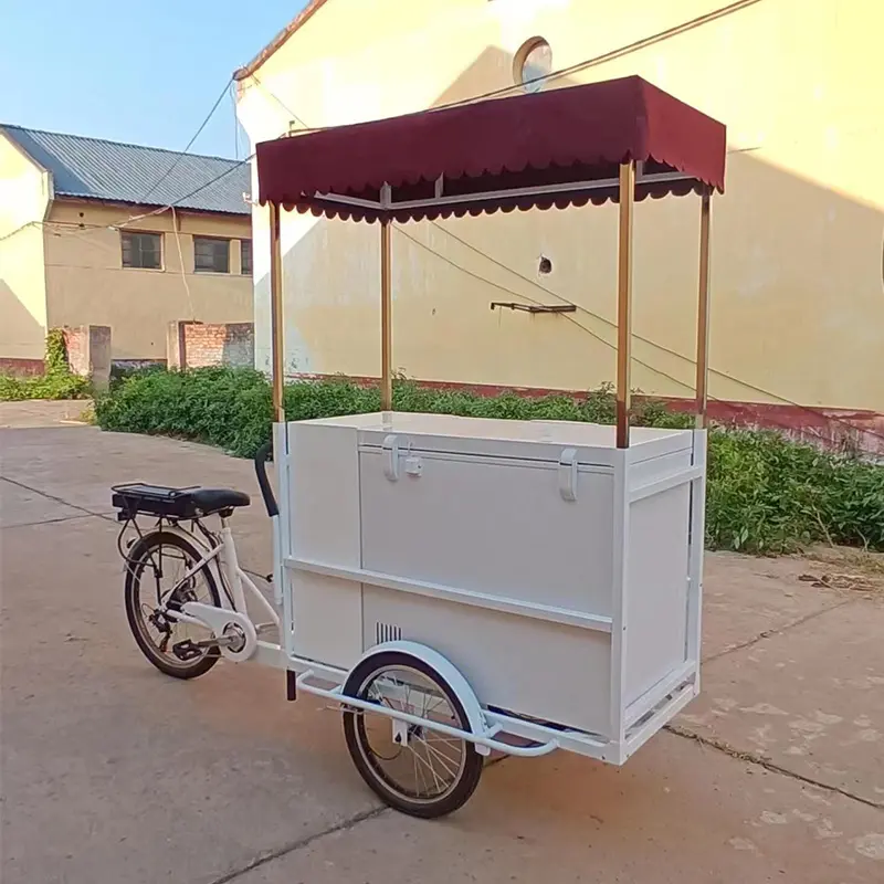 Sepeda Gerobak Es Krim Pedal Klasik